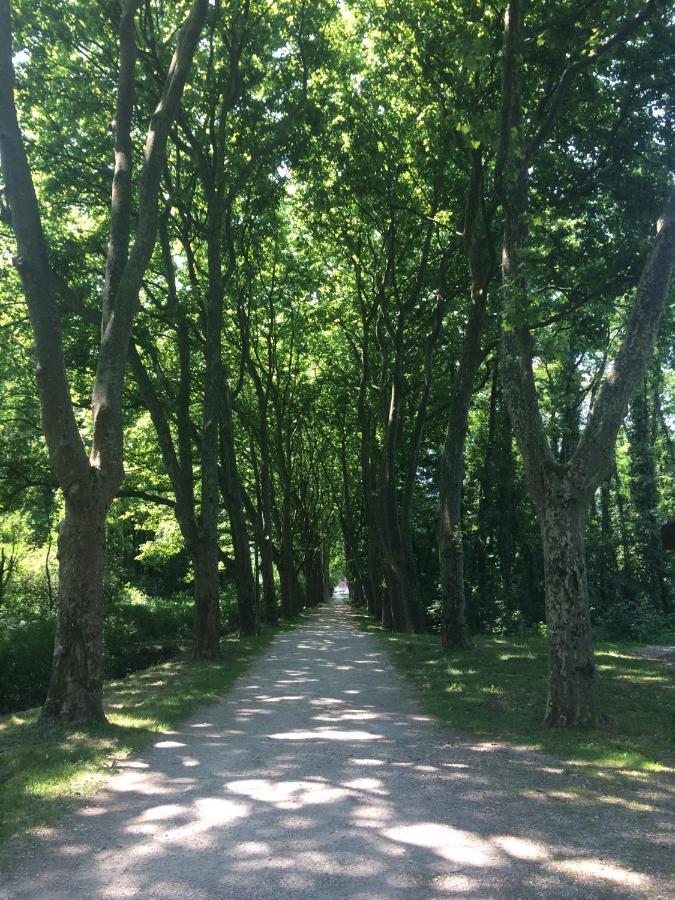 Atypique 2 Pers 200m Du Homestay